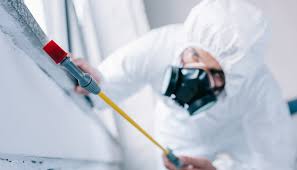 Best Residential Pest Control  in Pomona Park, FL